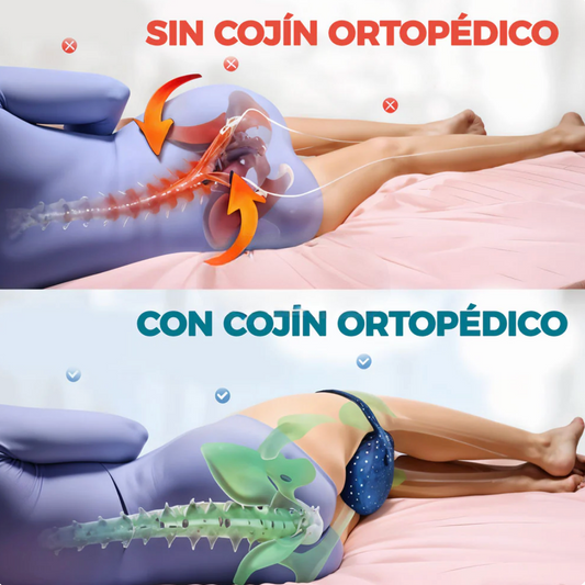 Kit Ortopédico Almohada Cervical + Cojín Soporte Piernas