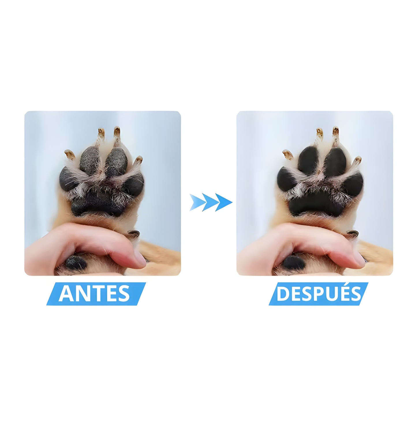 Limpiador Automático de Patas USB - ¡No mas patas sucias!