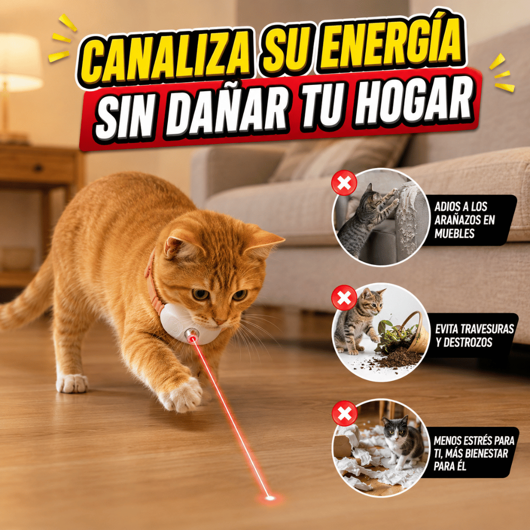 ¡Promo 2x1 Collar Láser Para Gatos! - Reduce travesuras y mantiene a tu gato activo cada día