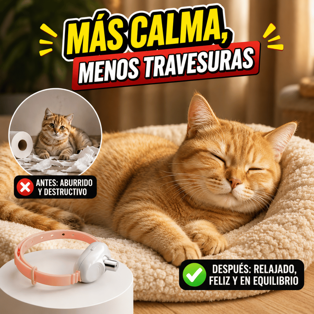 ¡Promo 2x1 Collar Láser Para Gatos! - Reduce travesuras y mantiene a tu gato activo cada día
